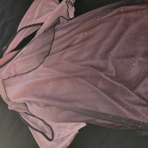 Sparkling Sheer Pink Top